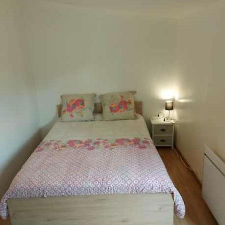 Studio Au Calme Wifi 600M Centre Ville Parking Gratuit Devant Castres  Bagian luar foto